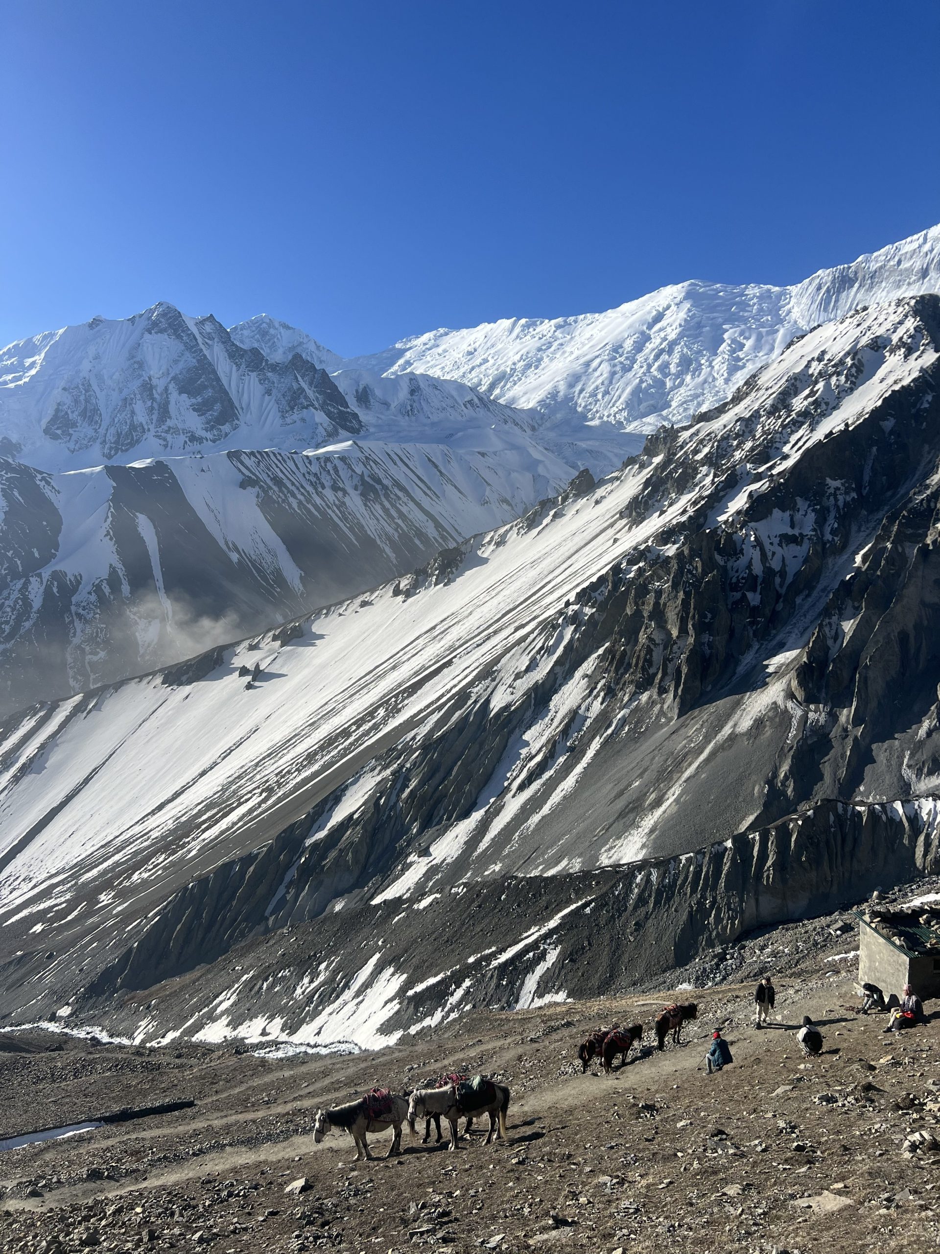 Trekking in the Annapurna region