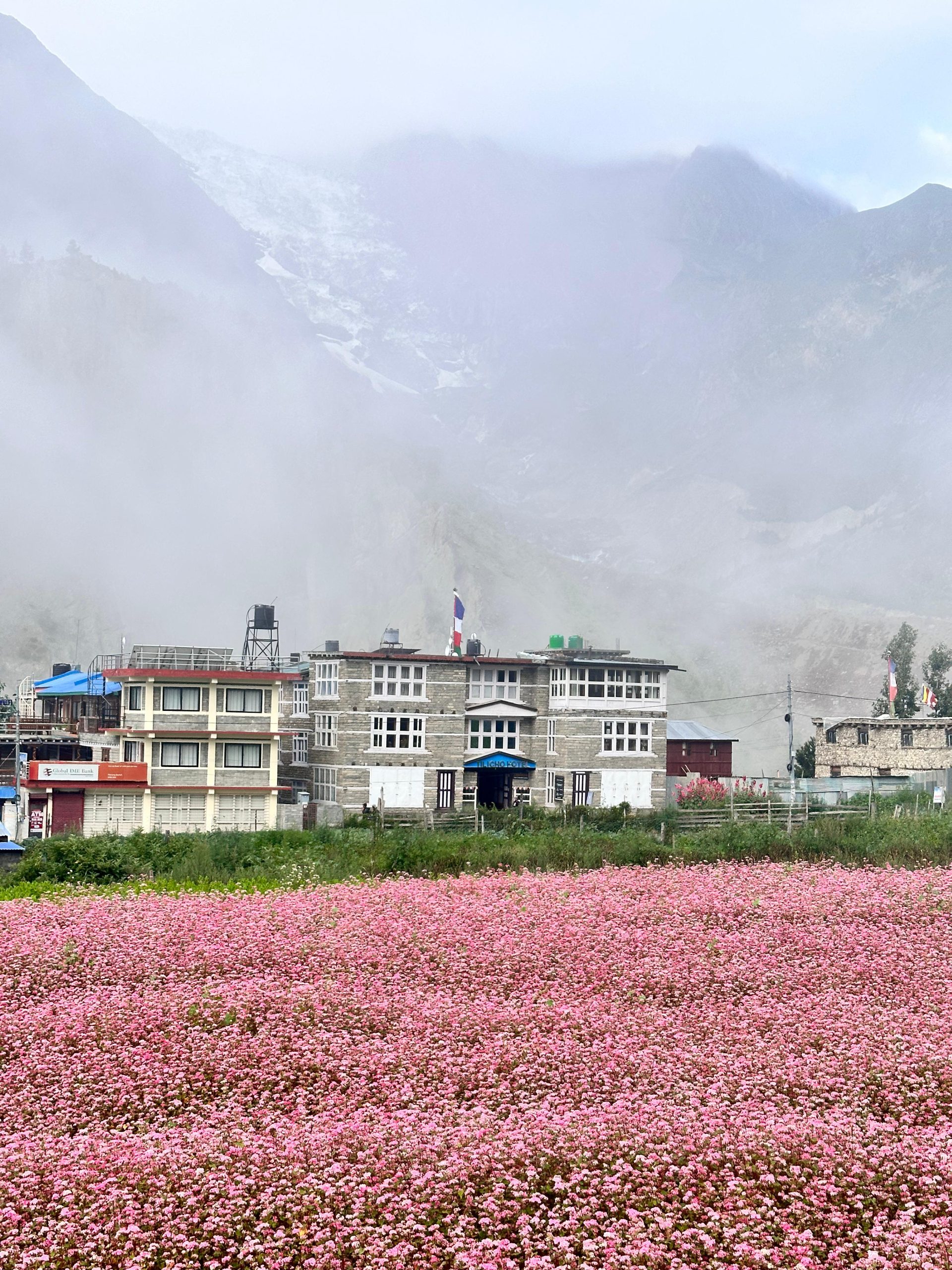 Tilicho Hotel courtyard